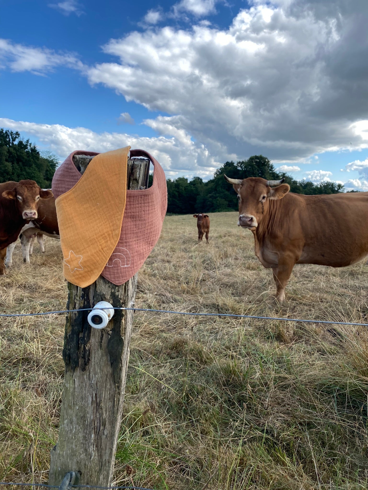 Lot de 3 Bavoirs de Cow-boy