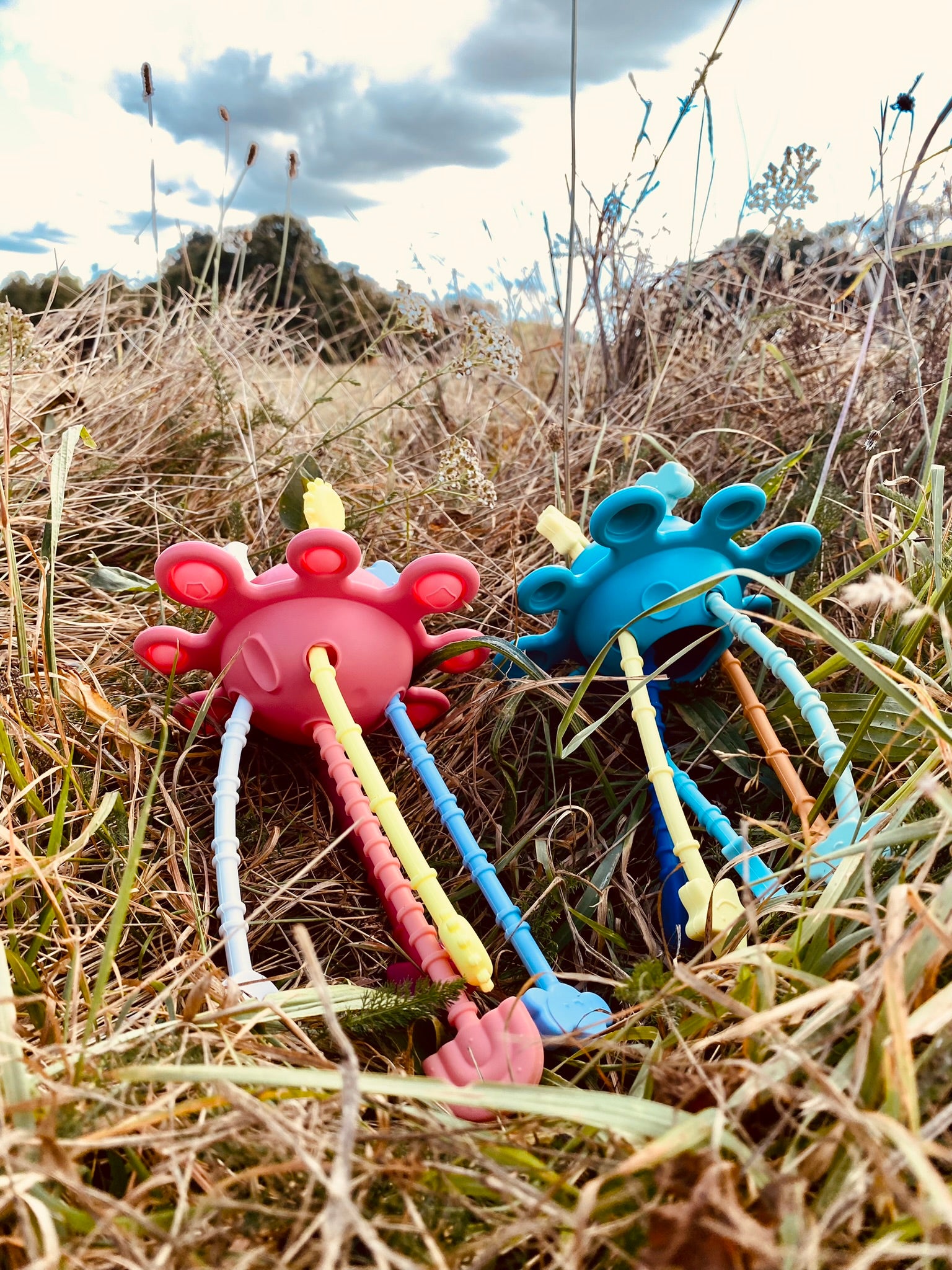 Pieuvre Sensorielle Montessori Silicone - Jouet Éveil Bébé 6 Mois